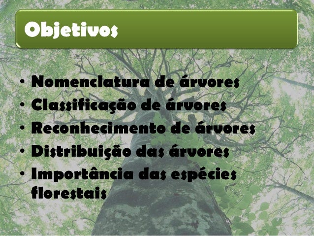 dendrologia